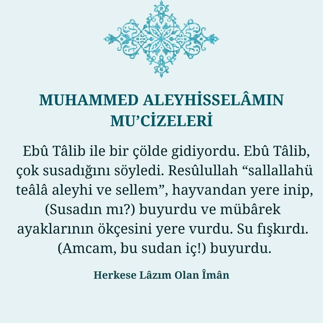 Mucizeleri (14)